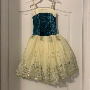 Girls Princess Dance Costume